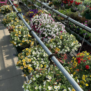 Garden Center 4