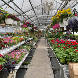 Garden Center 5